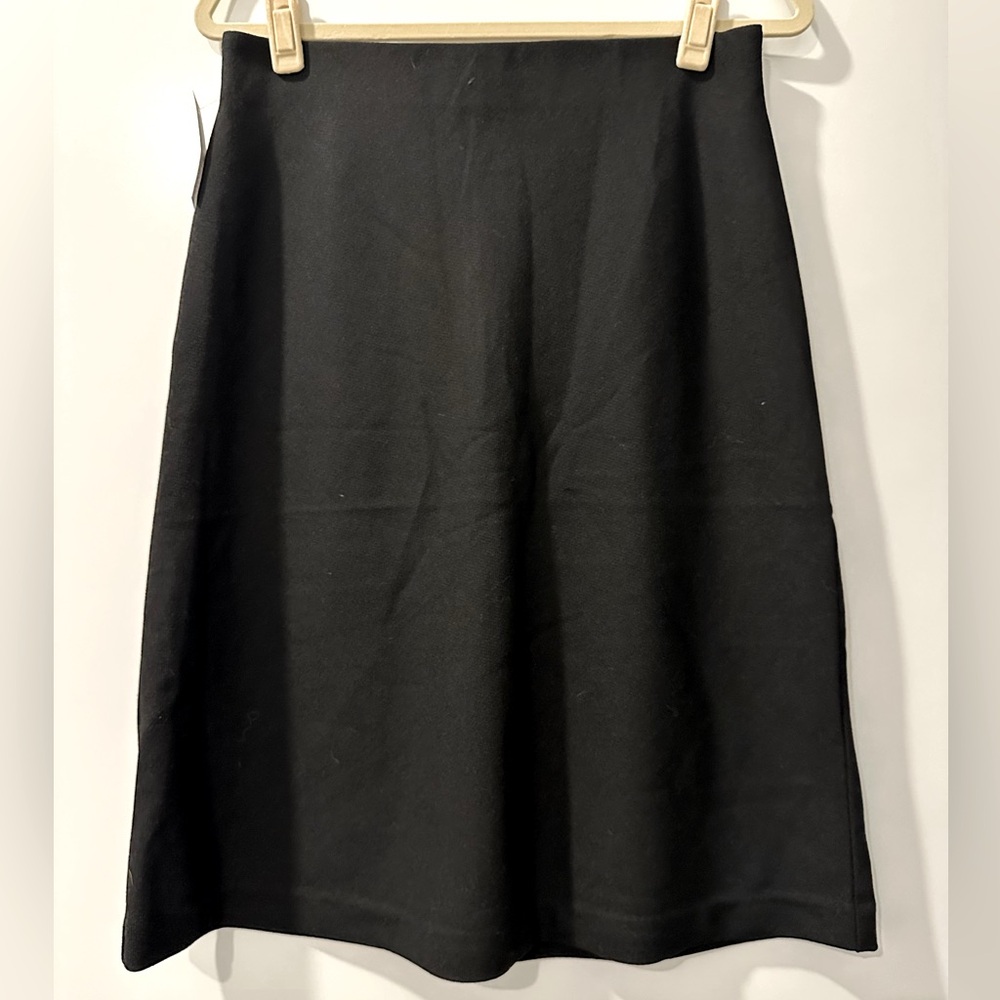 NWT Aritzia Wilfred Skirt